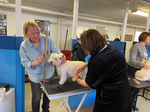 received 974461933214166