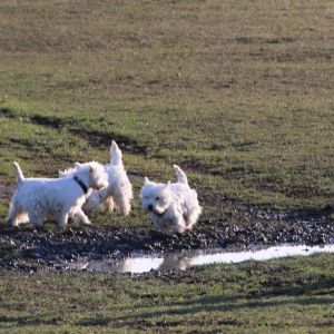 FB IMG 1580671444935