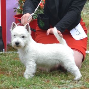 02. Valpklass 6 man  tikar. Plac.1 127