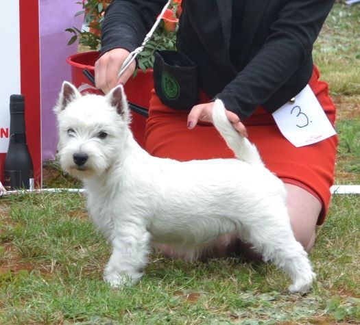 02. Valpklass 6 man  tikar. Plac.1 127