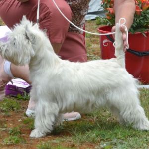 04. Valpklass 9 man hanar. Plac.1 126