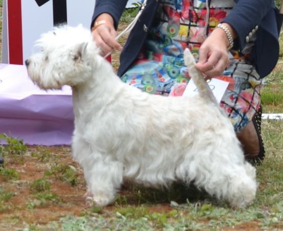 22. Oppenklass tikar. Plac.1