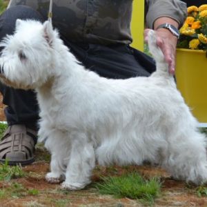 24. Oppenklass tikar. Plac.3