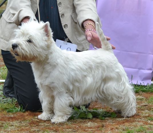 25. Oppenklass tikar. Plac.4