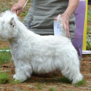 28. Championklass tikar. Plac.3