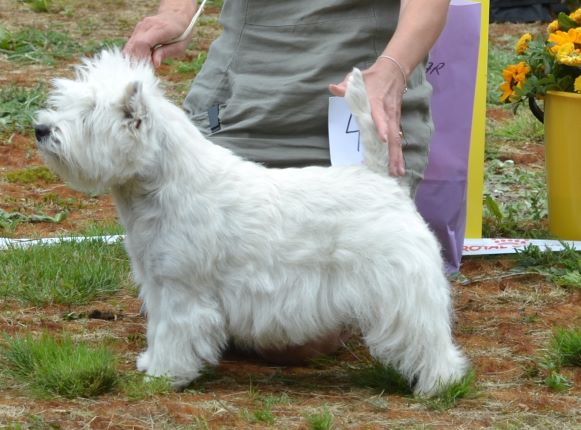 28. Championklass tikar. Plac.3