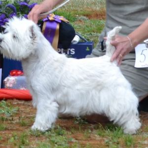 30. Veteran tikar. Plac.1