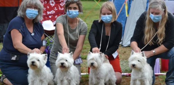 32. Basta Uppfodare. Kennel Acorss