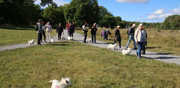 304995063 5070278109662639623 n 265