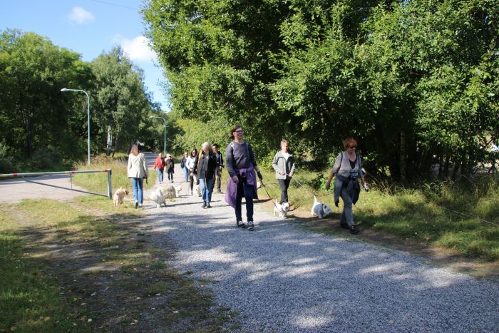 305168113 3671039240526912766 n 268