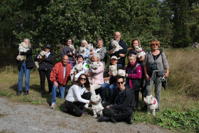 305210568 6424456652600215799 n 267