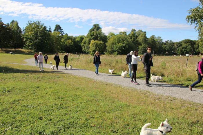 305270725 8688106487132059667 n 266