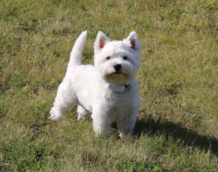 305275198 214197045429040641 n 269