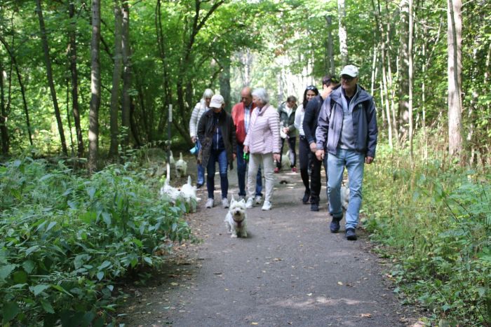 305357515 647672277971942888 n 270