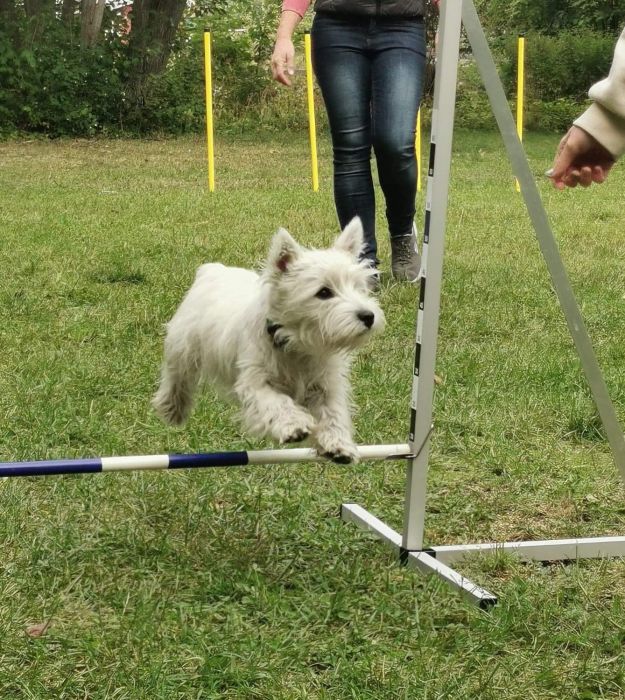 305925123 2768836124500098140 n 260