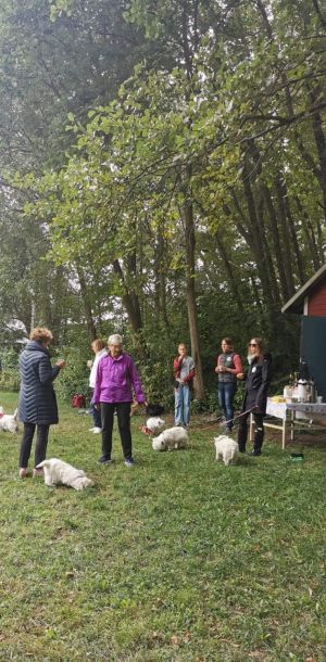 305926462 8235247064181941073 n 259