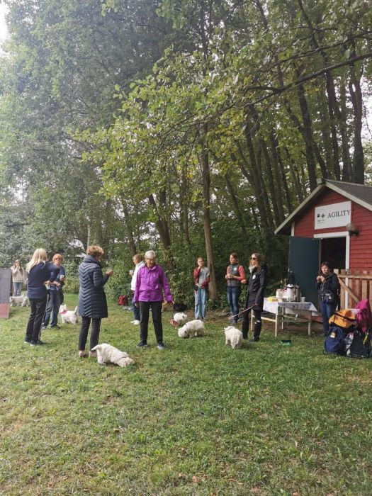 305926462 8235247064181941073 n 259