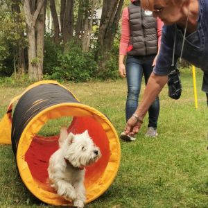 305969139 6722281767510262330 n 264