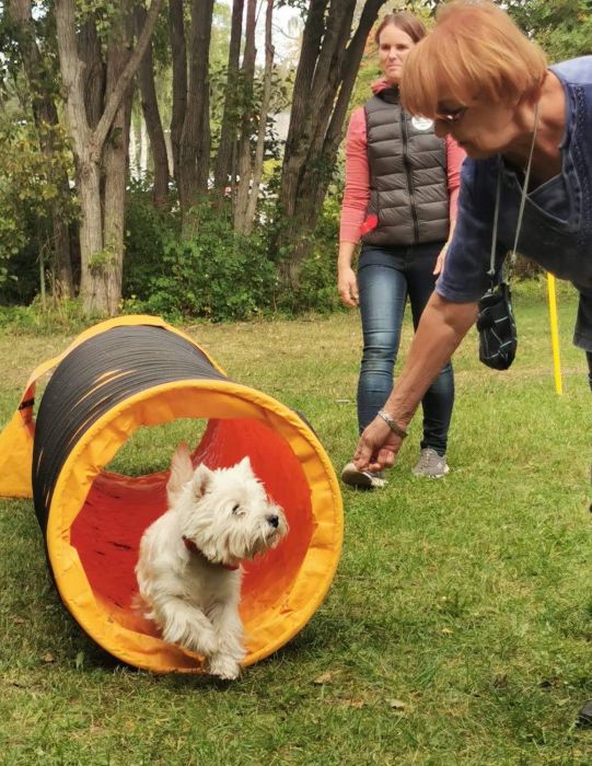 305969139 6722281767510262330 n 264