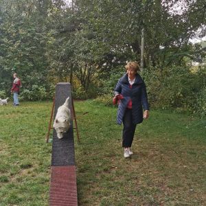 306322258 3675245453884568298 n 261