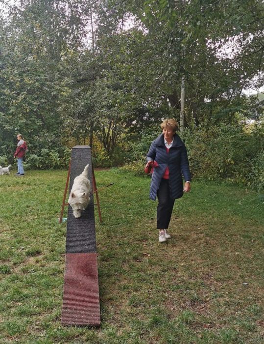 306322258 3675245453884568298 n 261