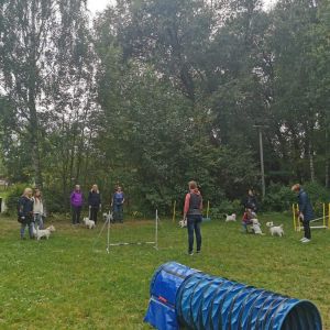 306480813 9036170030371927392 n 263