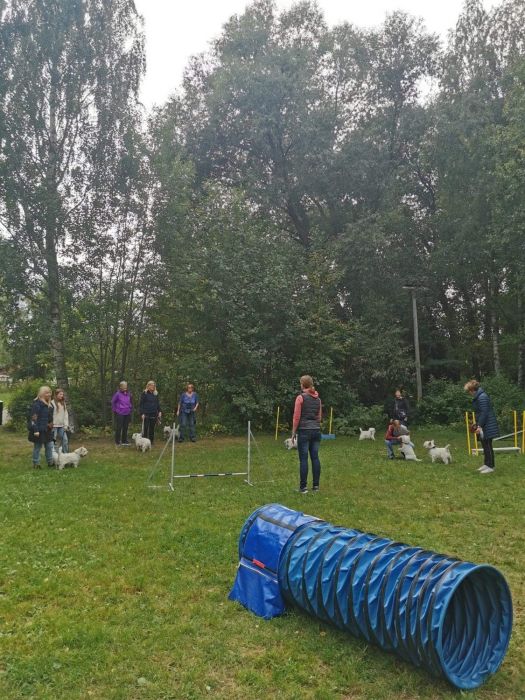 306480813 9036170030371927392 n 263