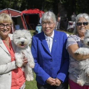 BIR och BIM SECH DKCH SMASH White Nights  Smash Sparkling Like A Star 