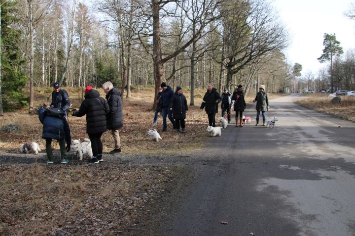 481340986 5968536627074436205 n 680