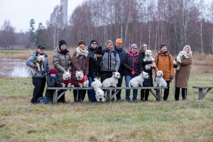 facebook 7269006379072189513 621