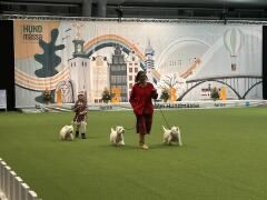 Rasparad Anna och Ingrid med Lea  Tindra och Lova