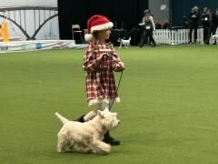 Rasparad lilla tomten Ingrid